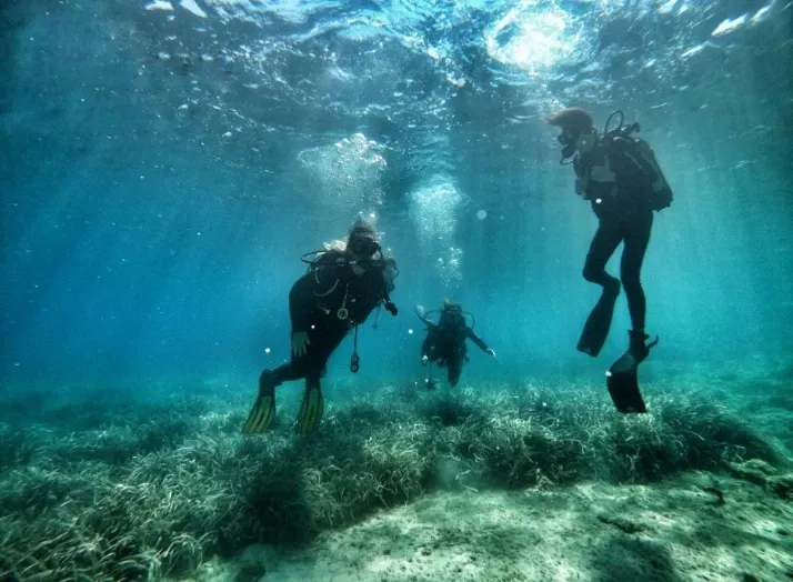 Three scuba divers swimming over seagrass in clear blue water