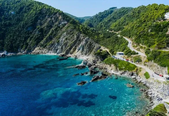 Turquoise bay below pine-covered hills and a winding coast road, seen from above