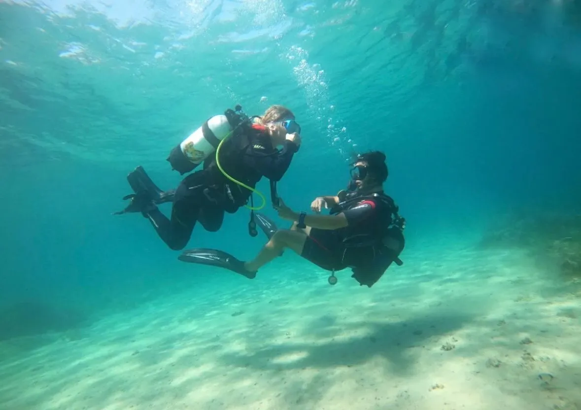 Two scuba divers facing each other underwater above a pale sandy seabed