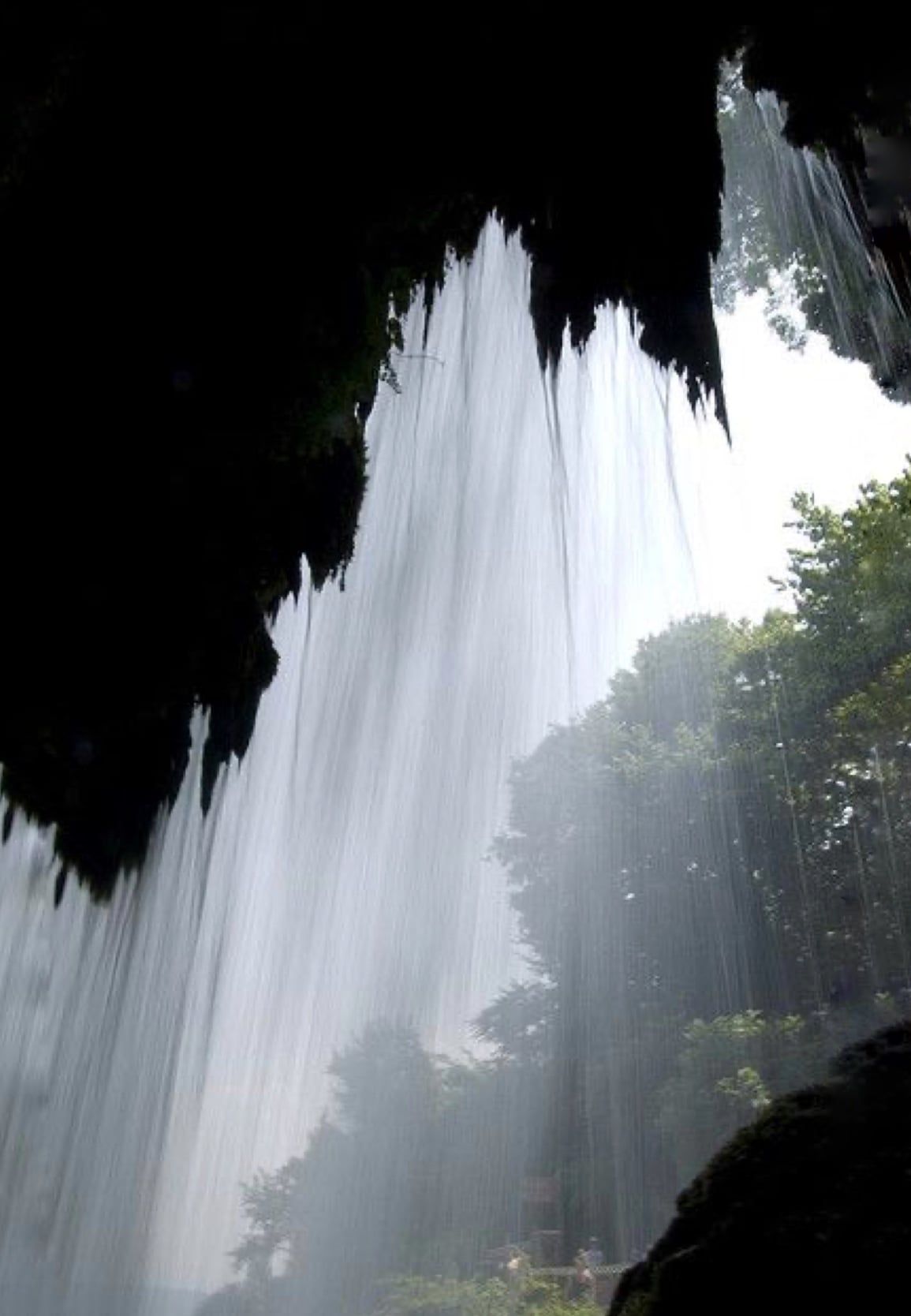 View from a cave behind a waterfall curtain, with green trees beyond