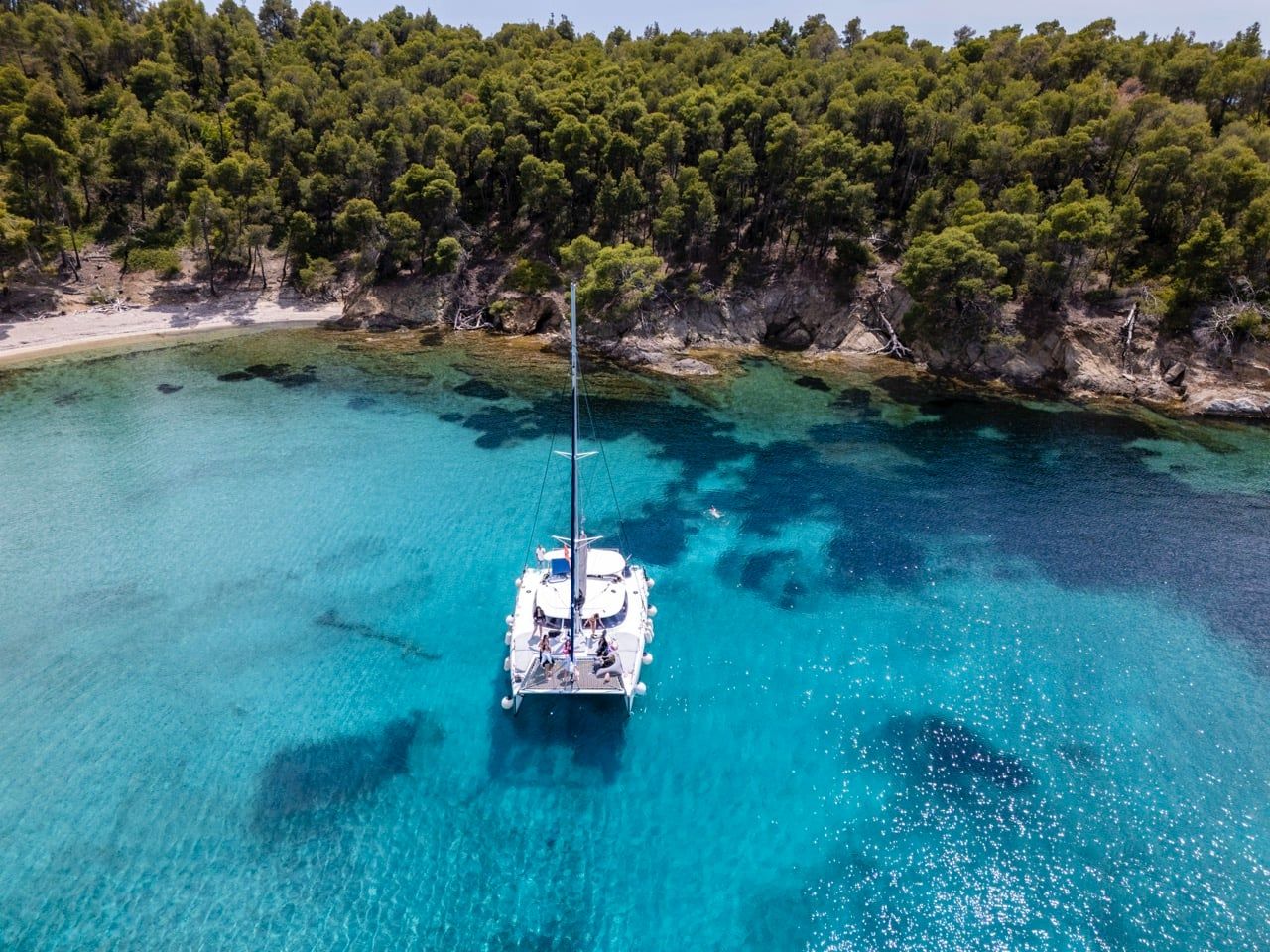 Catamaran on a half-day trip from Porto Carras, anchored in a bay below pine forest