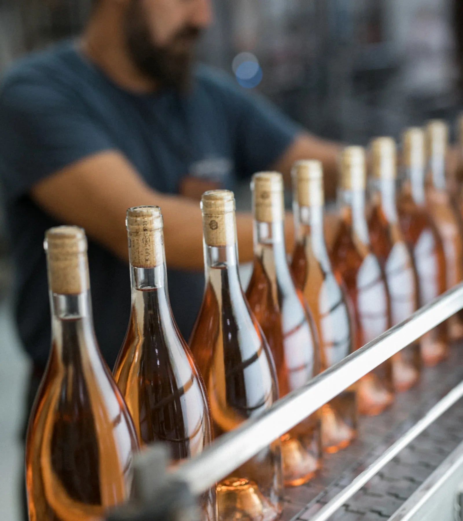 A row of rosé wine bottles on the line at the Porto Carras winery