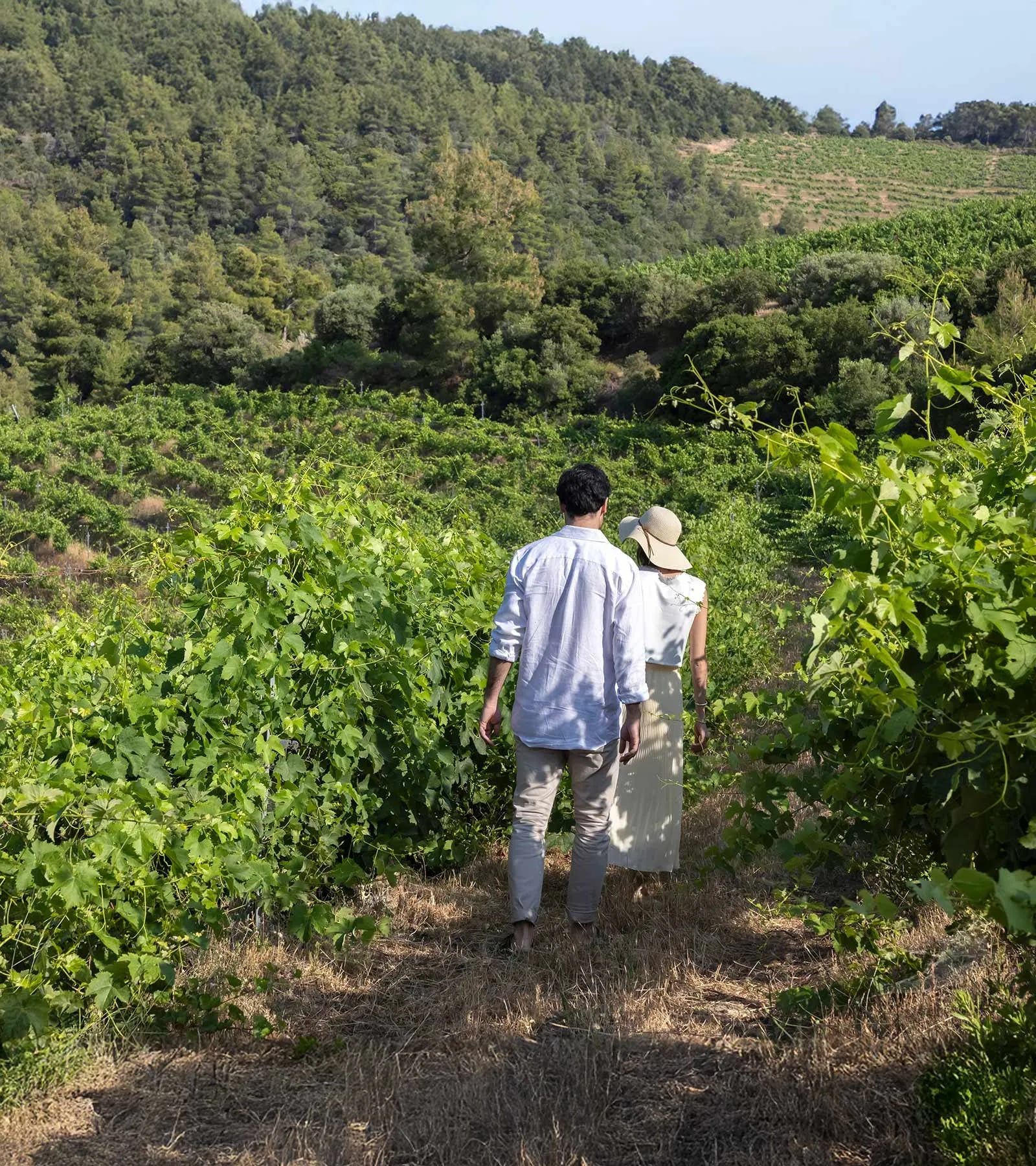 A couple walking along a path between the vines at Porto Carras