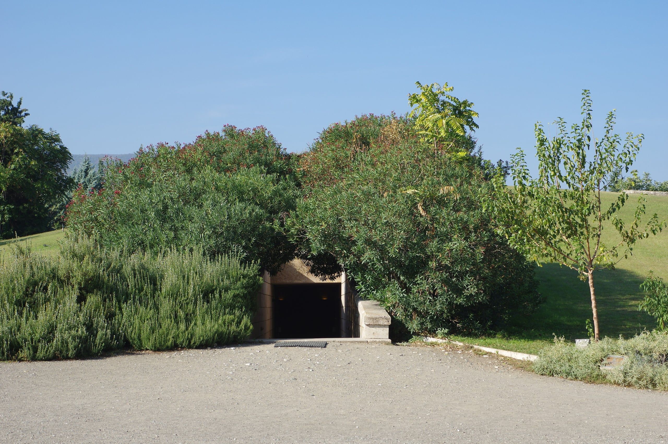 Entrance to the underground Royal Tombs museum at Vergina under a grassy mound