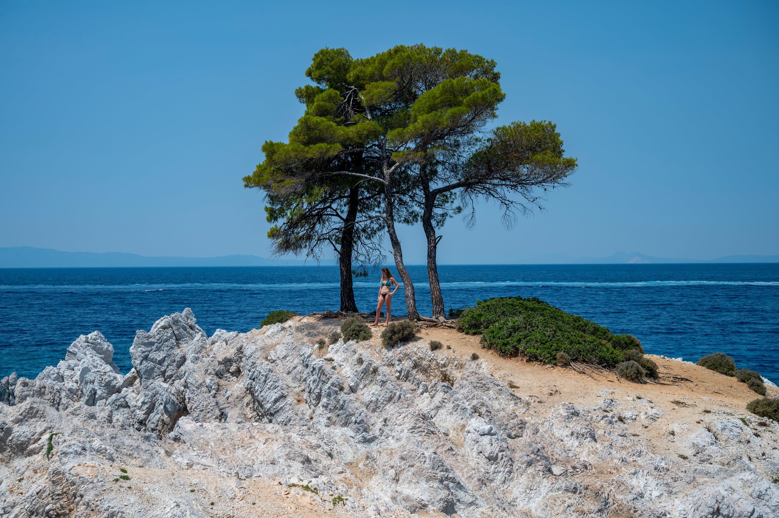 Woman standing under three pine trees on a white rocky point above the sea