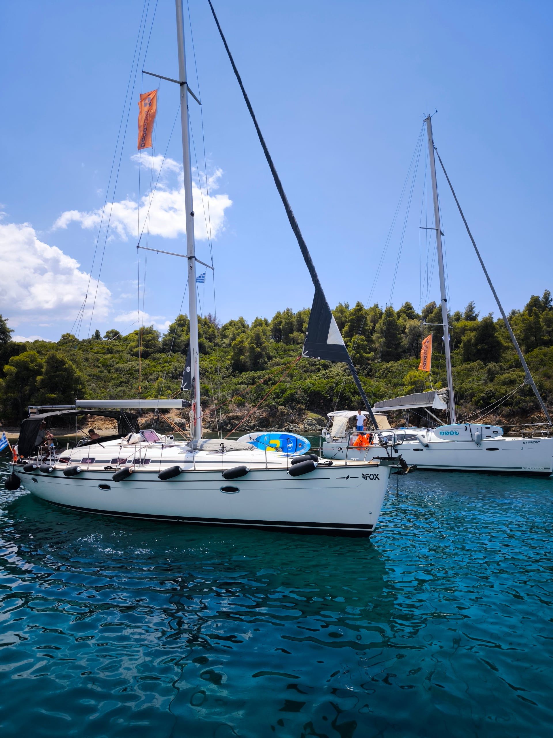 Two sailing yachts moored in clear water by a pine-covered shore